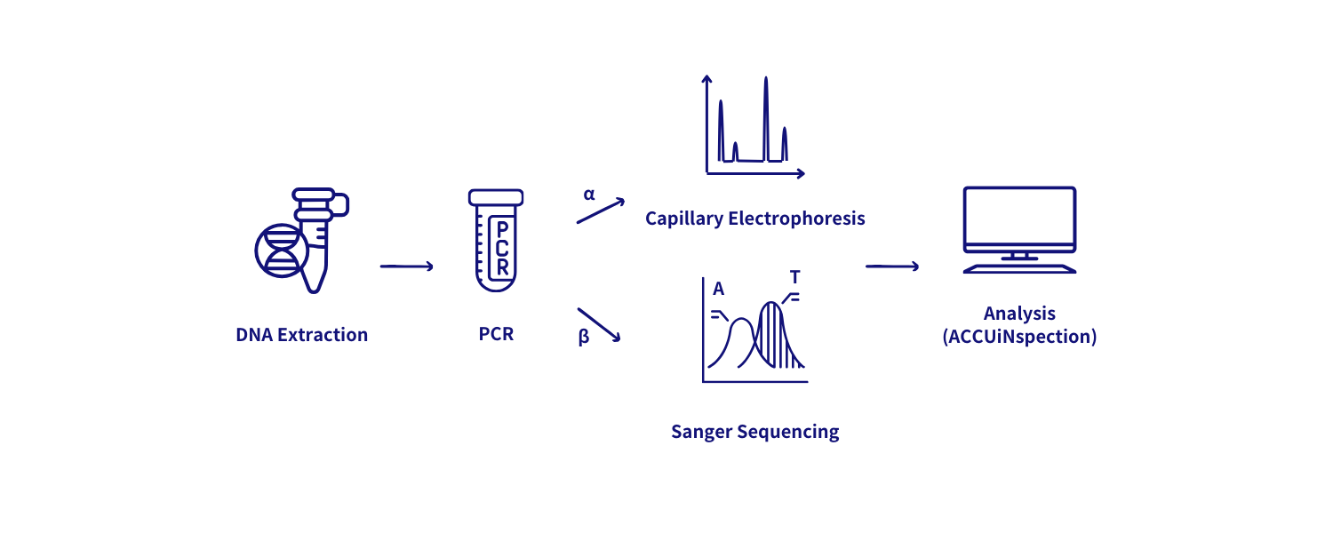 安奕地中海型貧血篩檢試劑盒 流程圖